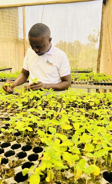 Sustainable Livelihoods & Agribusiness