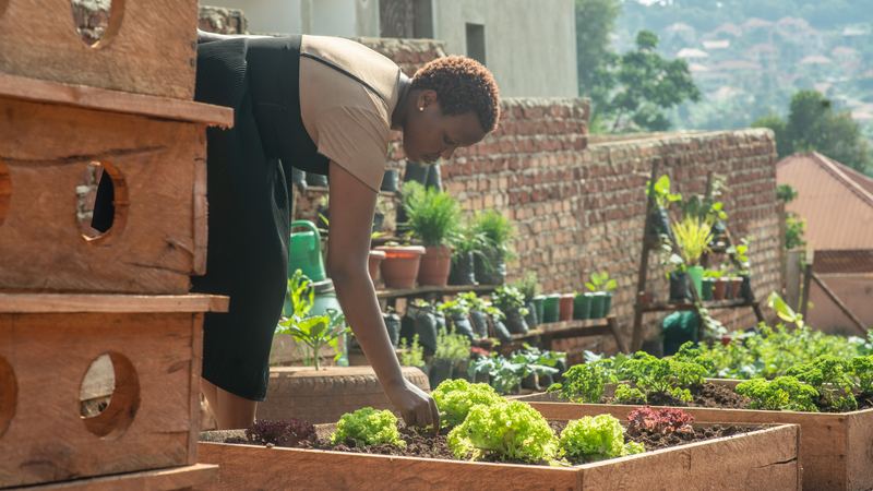Women in Green Enterprises