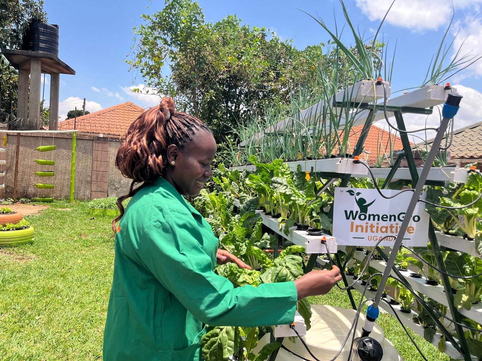 Fresh greens from a vertical hydroponic garden